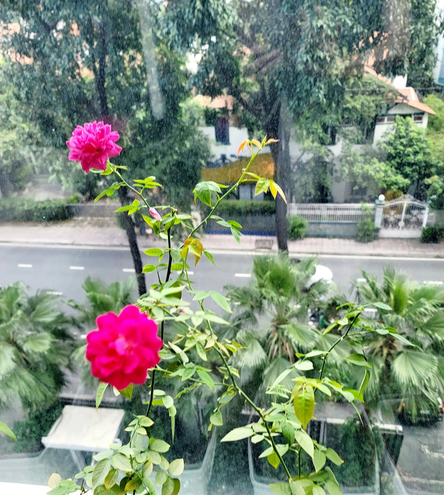BUỔI SÁNG AN BÌNH