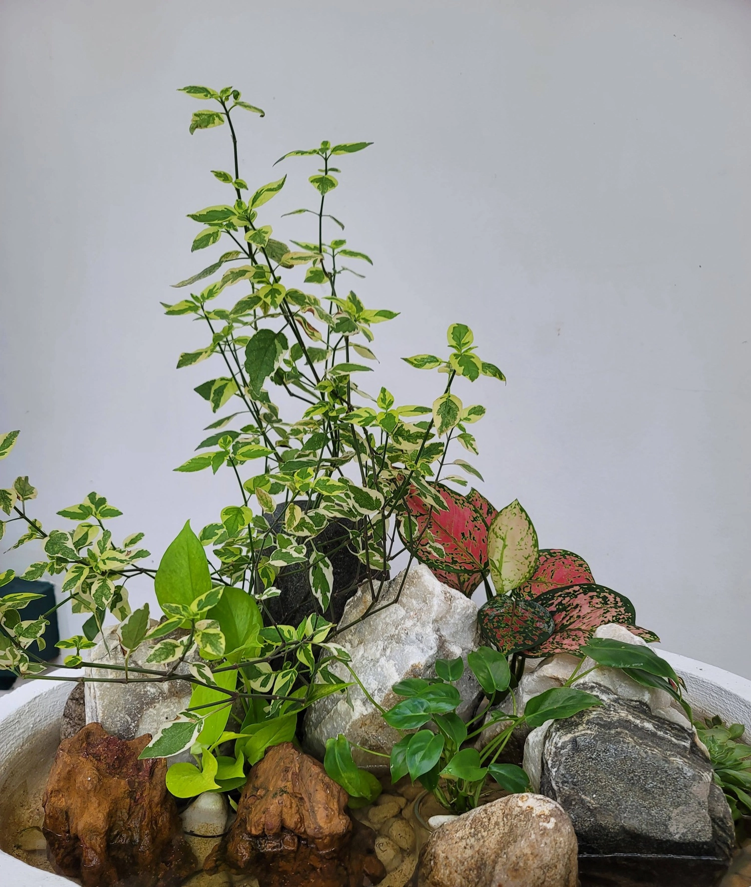 H&Ograve;N NON BỘ