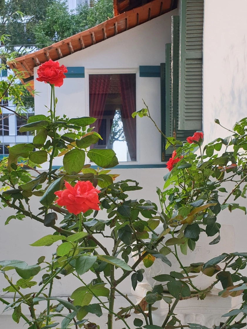 TRẠNG TH&Aacute;I