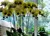 Thơ Tự Do BEAUTIFUL LIFE