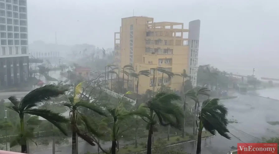 bão Yagi.....